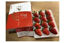 季節限定 まりひめプレミアムいちご「毬姫様」(A155-2)