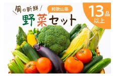 旬の新鮮 野菜セット たっぷり13種以上 季節の野菜 やさい ミネラル 新鮮 詰め合わせ きゅうり 小松菜 キャベツ 大根 なすび ミニトマト トマト とまと 新玉ねぎ しいたけ ごぼう しめじ 胡瓜 茄子 贈答 ご家庭 贈り物 プレゼント 