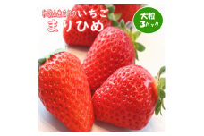 和歌山生まれのイチゴ【まりひめ】大粒3パック《先行予約》