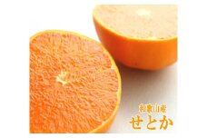 和歌山産 せとか 2.2kg数量限定