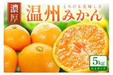 「濃厚な味のとろける美味しさ」 温州みかん 5kg《先行予約》 みかん ミカン  サイズ混合 Ｓ～Ｌサイズ 甘い 果物 フルーツ 濃厚 産地直送 期間限定 デザート 贈り物  贈答
