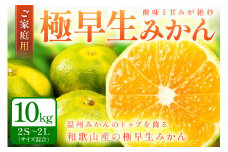 極早生みかん（ご家庭用） 10kg 和歌山産《先行予約》