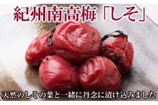 紀州南高梅 「しそ」(塩分15%) 梅干し うめぼし 梅 しそ シソ 紫蘇 国産 化粧箱入り ご自宅用 ご家庭用 すっぱい 塩漬け 完熟 