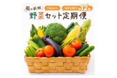 定期便 旬の新鮮 野菜セットＡ 【 毎月お届け 12回 】 たっぷり13品以上 八百屋 詰め合わせ セット やさい ミネラル 小松菜 キャベツ 大根 なすび 茄子 ミニトマト 新玉ねぎ しいたけ ブロッコリー 