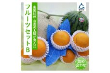 南国紀州・日高の太陽が育んだ季節のフルーツセットB《先行予約》【2026年1月下旬頃より順次発送予定】【配送不可地域:沖縄・離島】 フルーツ くだもの 果物 旬 旬のフルーツ 送料無料 数量限定 ふるさと納税 フルーツ【0374-3】