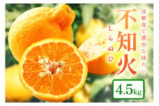 和歌山産 しらぬひ【デコポン】約4.5kg 濃厚春みかん≪2025年2月下旬頃より順次発送分≫