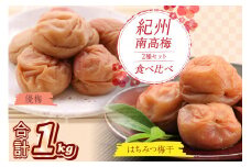 紀州南高梅 はちみつ梅500g、優梅500g 食べ比べセット