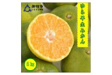 御坊市・日高川町・由良町産　ゆら早生みかん（ゆらっ子）5kg《先行予約》