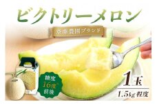 斎藤農園ブランド「ビクトリーメロン」アールスメロン(マスクメロン)1玉 1.5kg程度≪先行予約2024年6月下旬以降発送分≫