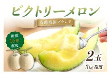 斎藤農園ブランド「ビクトリーメロン」アールスメロン(マスクメロン)2玉3kg程度≪先行予約2024年6月下旬以降発送分≫