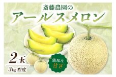 斎藤農園のアールスメロン(マスクメロン)2玉3kg程度≪先行予約2025年6月下旬以降発送分≫