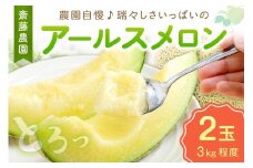 斎藤農園のアールスメロン(マスクメロン)2玉3kg程度≪先行予約2026年6月下旬以降発送分≫