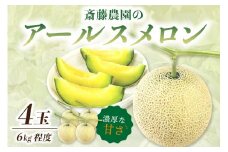 斎藤農園のアールスメロン(マスクメロン)4玉 6kg程度≪先行予約2024年6月下旬以降発送分≫