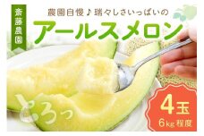 斎藤農園のアールスメロン(マスクメロン)4玉 6kg程度≪先行予約2026年6月下旬以降発送分≫【配送不可地域：北海道・青森・秋田・岩手・沖縄・離島】