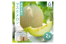 農園自慢の『マスクメロン』(アールスメロン)×2玉入り《先行予約》2026年6月下旬から順次発送【配送不可地域：北海道 ・青森・秋田・岩手・沖縄・離島】 高級 めろん メロン 期間限定 味自慢 甘い あまい 豊かな香り 濃厚 新鮮