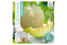 農園自慢の『マスクメロン』(アールスメロン)大玉×2玉入り《先行予約》2026年6月下旬から順次発送【配送不可地域：北海道 ・青森・秋田・岩手・沖縄・離島】
