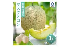 農園自慢の「マスクメロン」×3玉入り《先行予約》2026年6月下旬から順次発送【配送不可地域：北海道 ・青森・秋田・岩手・沖縄・離島】