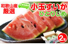 小玉すいか（ひとりじめ）厳選２玉セット 和歌山県産スイカ
