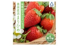 まりひめ4パック入り1kg「和歌山ブランドいちご」農家直送《先行予約》【配送不可地域：北海道・青森・秋田・岩手・沖縄】 