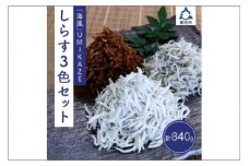 しらす3色セット「海風」UMIKAZE