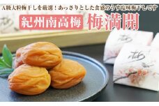 【和歌山県／紀州南高梅】紀州南高梅　梅満開15粒入り(塩分約6%）