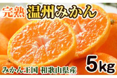 完熟温州みかん 5kg 和歌山のみかん職人が作る情熱ミカン