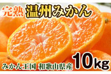 完熟温州みかん 10kg 和歌山のみかん職人が作る情熱ミカン