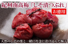 お徳用 紀州南高梅しそ漬つぶれ ( 塩分約15％ ) しそ漬 つぶれ梅 うめぼし 梅干し 梅 しそ 紫蘇 シソ 大容量 お裾分け 完熟 天然 しその葉 さわやか すっぱい 表皮破れ 梅肉 
