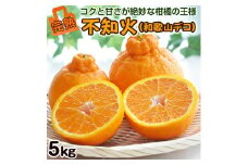 特選 樹上完熟 葉付き 不知火（デコポン）約5kg 和歌山県産