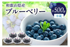 冷蔵ブルーベリー　500ｇ《期間限定》