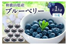 冷蔵ブルーベリー　1ｋｇ《期間限定》