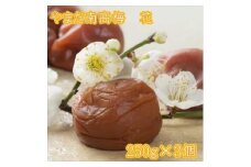 やまだ南高梅　花（250ｇ×３個）
