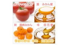 御坊市　旬の野菜・果物定期便（春・夏・秋・冬）4回　B