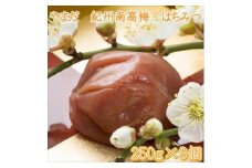 やまだ　南高梅はちみつ梅（250ｇ×3個）