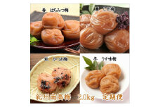 御坊市　紀州南高梅2.0㎏の定期便（春・夏・秋・冬）4回