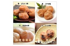 御坊市　紀州南高梅の贈答定期便（春・夏・秋・冬）4回　A