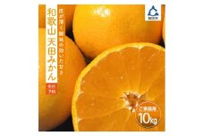 天田みかん（紀州和歌山）家庭用10kg（サイズ混合）｜みかん 家庭用 蜜柑 柑橘　