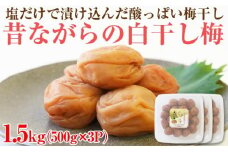 【和歌山県/紀州南高梅】紀州南高梅 昔ながらの白干し梅 1.5kg(500g×3パック) 塩分約20%
