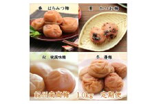 紀州南高梅1kgの定期便（春・夏・秋・冬）4回 B