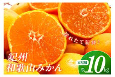 【産地直送】ご家庭用紀州和歌山みかん 約１０kg《先行予約》