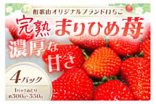 【和歌山オリジナルブランドいちご】完熟まりひめ苺　４パック【配送不可地域：北海道・沖縄・離島】《先行予約》