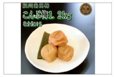 【家庭用】紀州南高梅　こんぶ梅　1.2ｋｇ