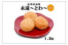 紀州南高梅　永遠～とわ～　１.2㎏　家庭用（B級、C級）