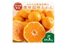 濃厚温州みかん5kg（和歌山天田みかん）みかんの産地和歌山　北村農園直送