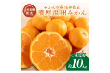 濃厚温州みかんご家庭用10kg（和歌山天田みかん）みかんの産地和歌山　北村農園直送