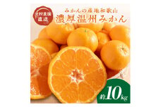 濃厚温州みかん10kg（和歌山天田みかん）みかんの産地和歌山　北村農園直送《先行予約》	