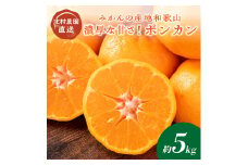 濃厚な甘さ！ポンカン5kg みかんの産地和歌山の農園直送