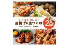 地域の方に長く愛されている【鳥好特製 唐揚げ＆生つくね】【全て手仕込み 】