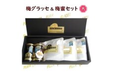 ふみこ農園　梅グラッセ＆梅蜜セット（大）