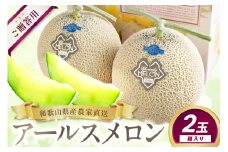 農家直送! 和歌山県御坊市産 アールスメロン 2玉 ≪先行予約 2025年7月より発送分≫ 高級 極上 めろん 果物 フルーツ 甘い あまい 旨味凝縮 ジューシー 贈答 贈り物 お裾分け プレゼント 期間限定 新鮮 1茎1果 糖度 みずみずしい ケーキ デザート おやつ 